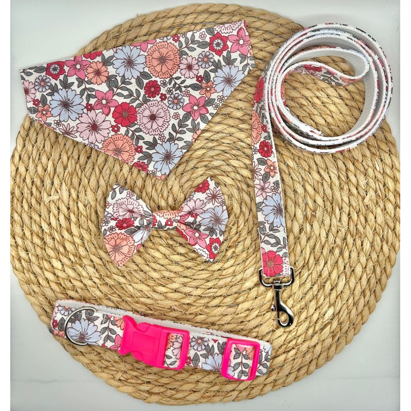 Ensemble chien LIBERTY ROSE