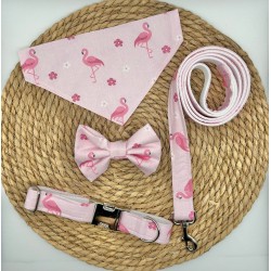 Ensemble chien FLAMANT ROSE